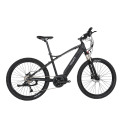 Lightweight mountain electric bicycle